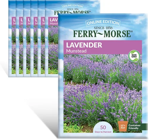 Vista 20 de Ferry-Morse Edición Online Bean Blue Lake Bush 274 Semillas Orgánicas Multipack – Paquete de 8