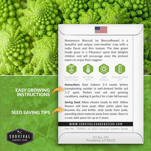 Vista 2 de Romanesco - Semillas de brócoli para plantar, vegetales exóticos italianos tradicionales con cabezas en espiral únicas, alto rendimiento, cultivo