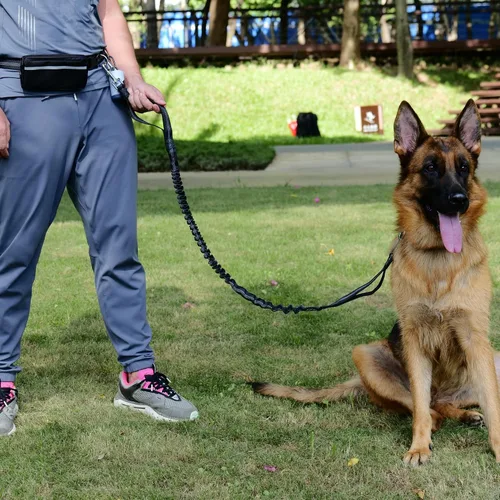 Vista 6 de Correa de perro manos libres para perros de hasta 130 libras – Correa elástica resistente que absorbe los golpes con bolsa de cremallera, asas