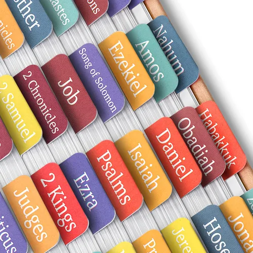 Vista 44 de Mr. Pen - Pestañas de la Biblia, 75 pestañas, tierra otoñal, letras doradas en relieve Laminated Bible Tabs for Women and Men, Bible Tabs for
