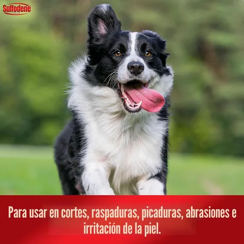 Vista 7 de Sulfodene, pomada de 3 vías para perros, S, Blanco