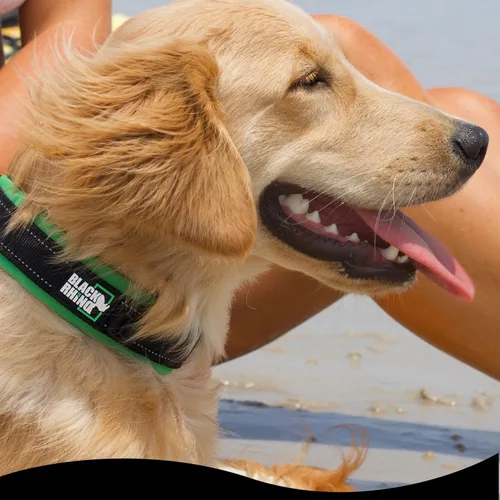 Vista 5 de Black Rhino - The Comfort Collar - Collar de perro acolchado de neopreno ultra suave para todas las razas. Resistente, ajustable, reflectante