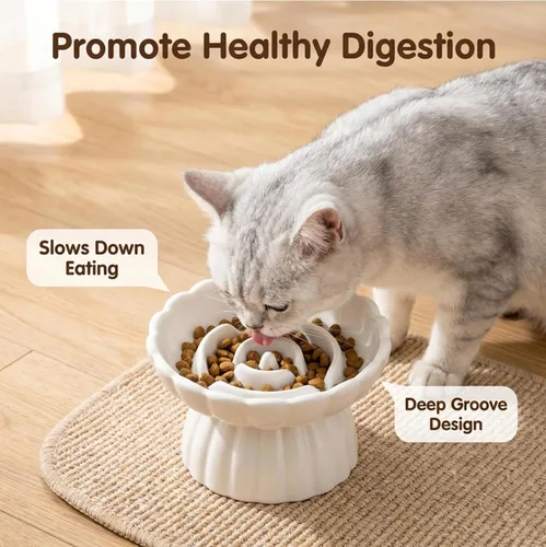 Vista 4 de Comedero lento de cerámica para gatos, cuenco elevado para gatos, antivómitos y bigotes, no tóxico Blanco