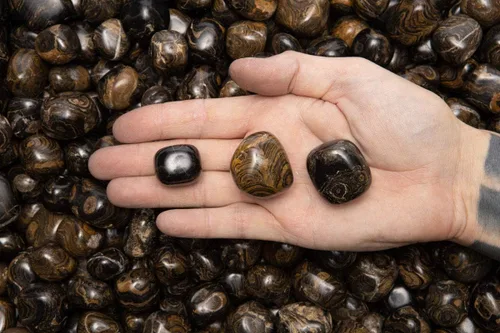 Vista 6 de Fantasia Materiales: 1 libra de piedras pulidas de estromatolita natural de Perú
