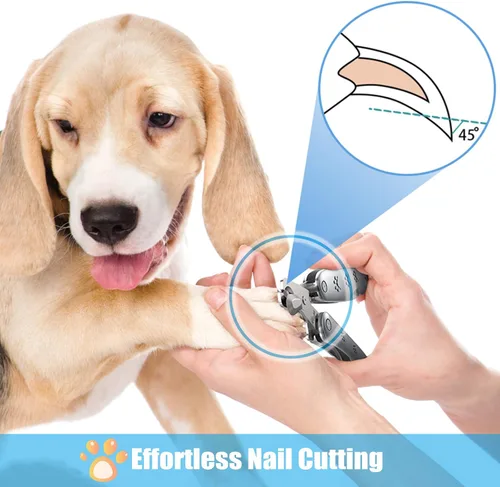 Vista 6 de El mejor pinza de uñas para perros grandes con uñas gruesas