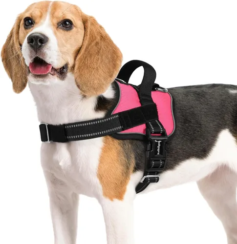Vista 20 de rabbitgoo Arnés para perro pequeño, chaleco fácil de poner para mascotas con una hebilla, arnés de servicio ajustable sin tirones con anillo en D