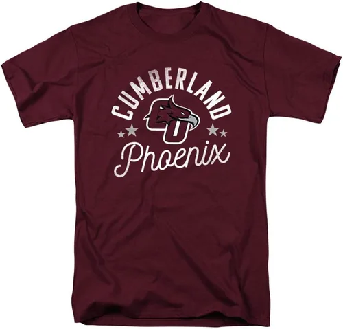 Vista 177 de Collegiate Distressed Mascot Unisex Adult T Shirt Collection 3 Universidad de Adelphi