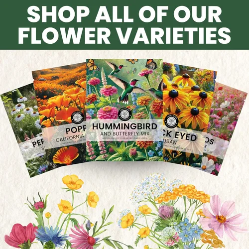 Vista 7 de Crazy Cosmos Mix - Sobre grande de 0.18 oz - 600 semillas de flores para plantar - Cosmos bipinnatus
