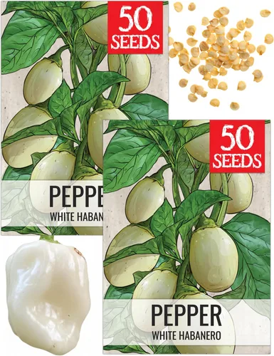 Vista 74 de Seed Needs - Semillas de pimiento arcoíris para plantar verduras, 1 paquete