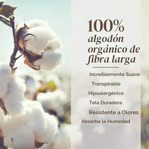 Vista 3 de Bare Home Juego de sábanas percal 100% algodón orgánico (individual, blanco)