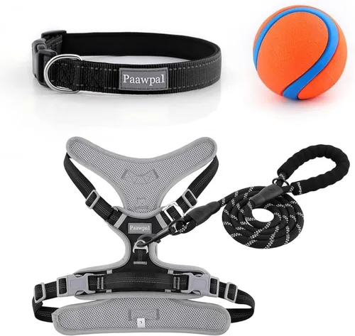 Vista 9 de Arnés ajustable para perro, sin tirones, reflectante, acolchado suave para perros pequeños, medianos y grandes, incluye correa y collar, beige, XS