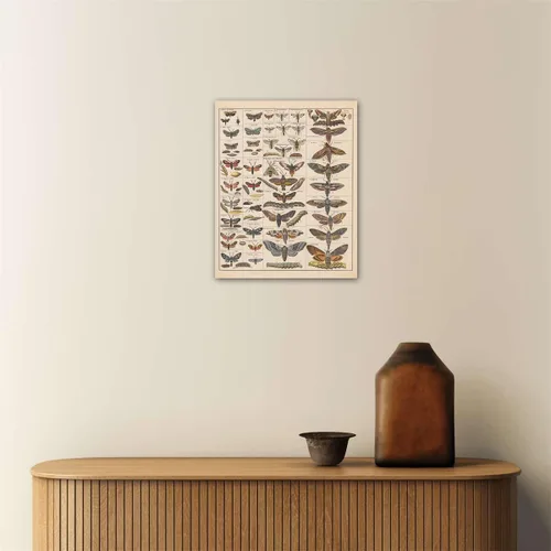 Vista 6 de Meishe Art Póster Impreso Vintage Polilla Insectos Razas Identificación Tabla de Referencia Colección de Especies Diagrama de Entomología Aula Club