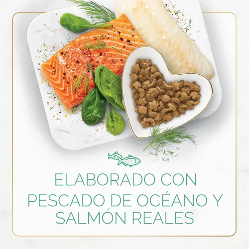 Vista 4 de Purina Fancy Feast - Alimento seco para gatos con pescado y salmón del océano (paquete de 4) bolsas de 16 onzas