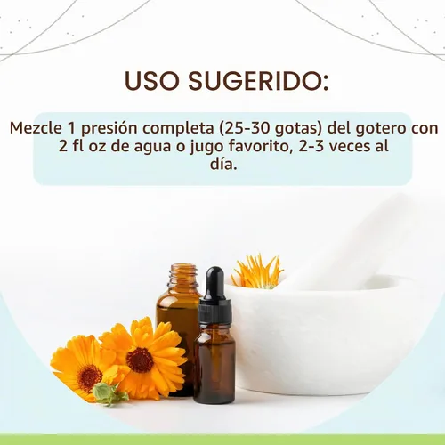 Vista 2 de HerbEra - Melón amargo, gotas líquidas concentradas para apoyo digestivo y vitalidad, frutas secas Momordica Charantia, tintura amarga sin alcohol