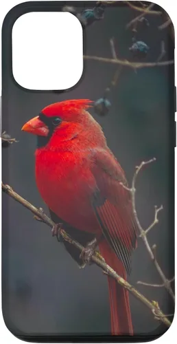 Vista 28 de Funda para iPhone 16 Cardinal Bird