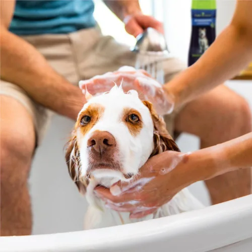 Vista 7 de FURminator® deShedding Acondicionador Ultra Premium, Acondicionador Para Perros Ayuda a Reducir el Exceso de Muda, 16 Onzas