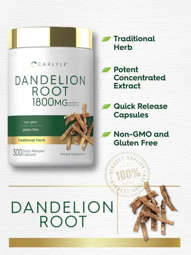 Vista 4 de Carlyle Extracto de raíz de diente de león 300 cápsulas Suplemento de hierbas Taraxacum Officinale Sin OMG y sin gluten