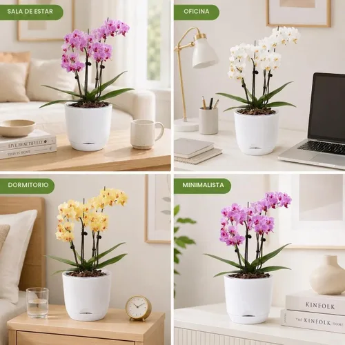 Vista 8 de Macetas de orquídeas blancas de 5.7 pulgadas con agujeros para trasplantar, macetas de plástico de doble capa de riego automático para plantas