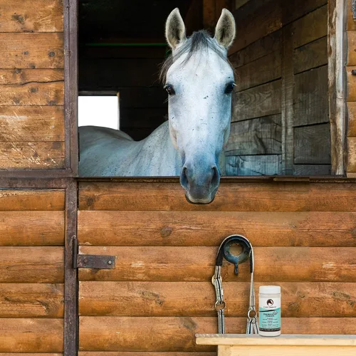 Vista 6 de Coat Defense Polvo preventivo diario y tratamiento de pudrición por lluvia para caballos Picazón dulce equino seguro y eficaz, piel funk, arañazos