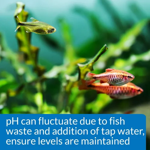 Vista 5 de API Kit de prueba de pH para acuario de agua dulce de 250 pruebas, juego de 4 piezas