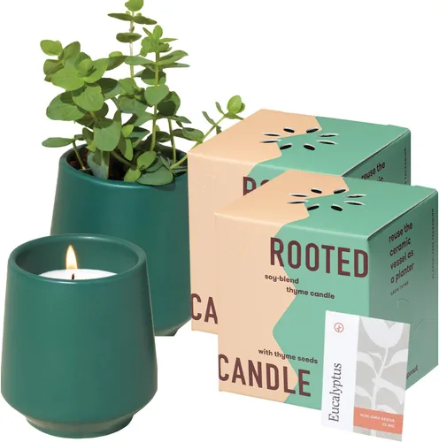 Vista 16 de Modern Sprout Maceta de vela de soja, crece albahaca, aroma a albahaca