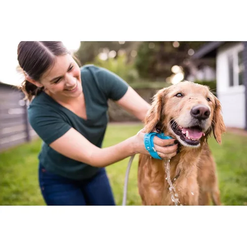 Vista 6 de Aquapaw Cepillo de baño para perros Pro y accesorio de ducha para perros, goma de silicona grande, rociador y depurador en uno con accesorio