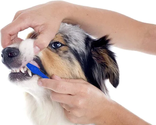 Vista 5 de Pets First Cepillo de dientes para perros de cerdas más suaves, extra grande, largo, doble cara para dientes pequeños y grandes, juego de 2