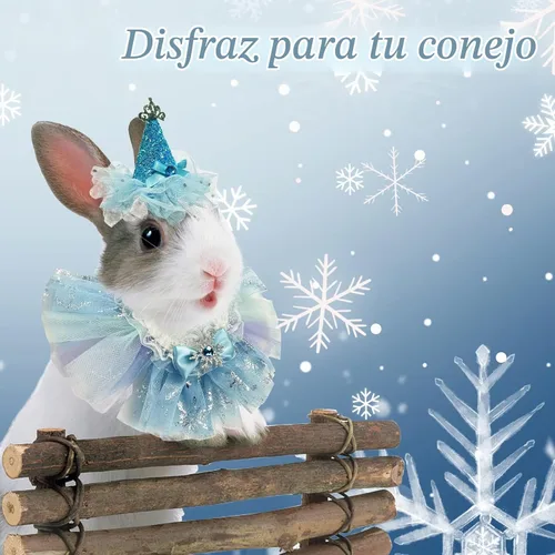 Vista 5 de Disfraz de princesa de cumpleaños de animales pequeños para conejo, conejillo de indias, corona de sombrero, falda tutú, sombrero de princesa
