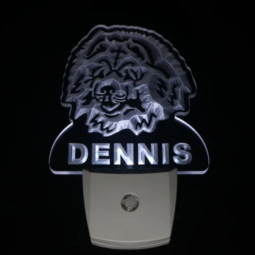 Vista 5 de AdvPro ws1062-tm Chow Chow Dog - Luz nocturna personalizada con nombre y sensor de día/noche