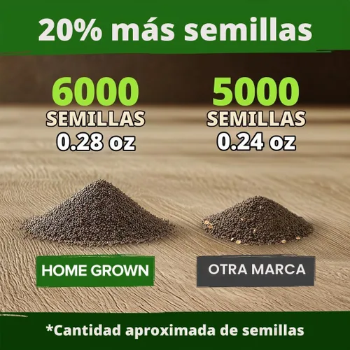 Vista 4 de HOME GROWN Golden West Poppy 6000 Semillas de flor Eschscholzia californica