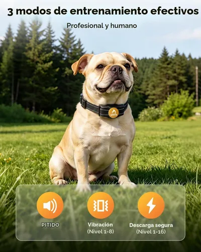 Vista 2 de PATPET Collar de choque para perro, collar recargable de entrenamiento para perros con control remoto para perros medianos y grandes, 3 modos