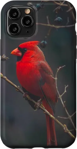 Vista 29 de Funda para iPhone 16 Cardinal Bird