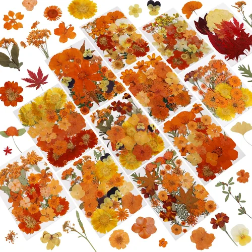 Vista 11 de 412 piezas de flores secas para manualidades, flores secas de naturaleza