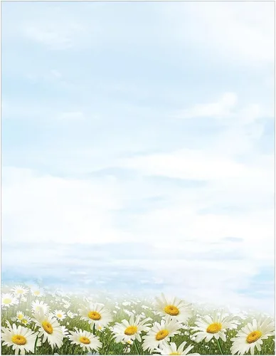 Vista 2 de Great Papers! Daisy Day - Papel de papel con membrete, 8.5 x 11 pulgadas, 80 unidades, compatible con impresoras de inyección de tinta y láser