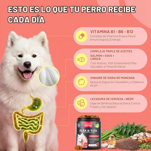 Vista 4 de Masticables para pulgas y garrapatas para perros - Prevención oral masticable de pulgas y garrapatas para perros Masticables de apoyo a pulgas
