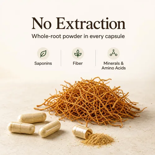 Vista 4 de The Root Suplemento original coreano rojo panax ginseng – 100% polvo de raíz fina entera con fibra natural y minerales – Resistencia sin cafeína