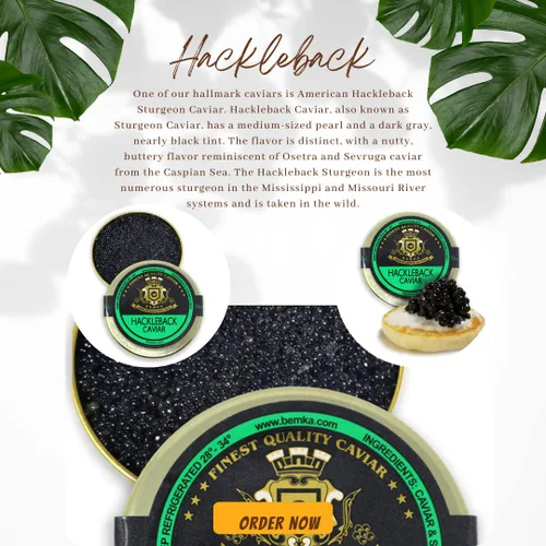 Vista 3 de Bemka American Sturgeon Hackleback Wild Caviar, lata de 7 onzas
