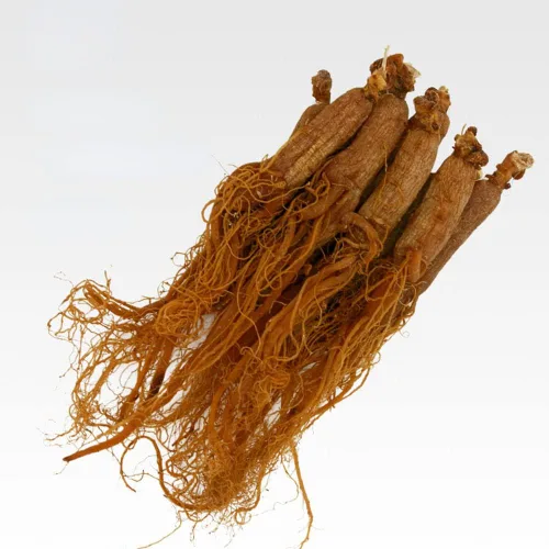Vista 4 de Raíz de ginseng rojo, ginseng rojo de Corea, raíz de ginseng rojo coreano, raíz de ginseng coreano rojo orgánico natural, raíz de ginseng radix