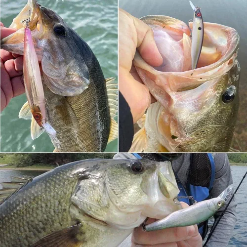 Vista 5 de Kit de Señuelo Jerkbait XFISHMAN - Señuelo de Peces Pequeños - Suspendido - Lubina, Lubina de Boca Pequeña, Lucioperca, Lubina de Boca Grande - 1