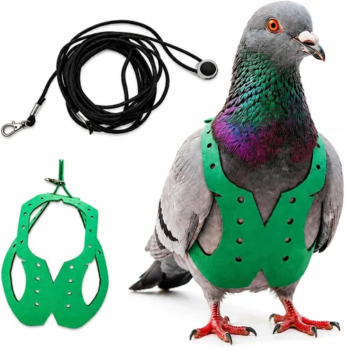 Vista 26 de Juego de arnés ajustable y correa para pájaros pequeños, apto para periquitos, conures, cacatúas, mejillas verdes, loros cuáqueros (verde, XS) 6350-6