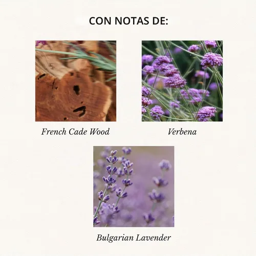 Vista 3 de Vela en frasco de vidrio grande de enebro francés y lavanda, 100 horas, 16 oz, Voluspa Coconut Wax Blend in Decorative Glass, Clean Even Burn, USA