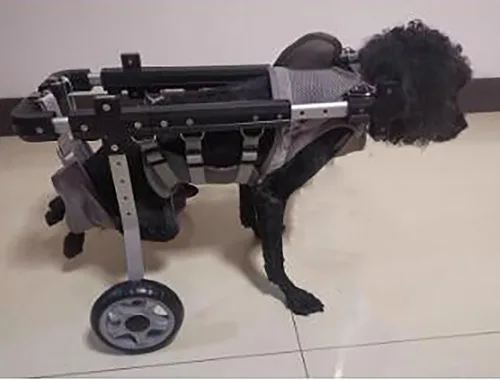 Vista 2 de Dog Wheelchair Front/Back Leg Support Mobility aids for Disabled Pet, 4 Wheels Dog Wheelchair with Reflective Strips, Adjustable Walk Assistant for