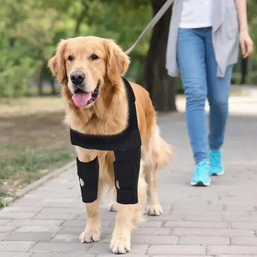 Vista 6 de Protector de codo para perro, coderas de perro para pierna delantera para alivio elástico de tumores de efusión, callos, edema, displasia, úlceras