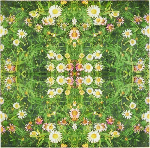 Vista 7 de Juvale Servilletas de papel de margarita, papel de seda absorbente de 2 capas, decoración de fiesta de jardín y despedida de soltera, servilletas