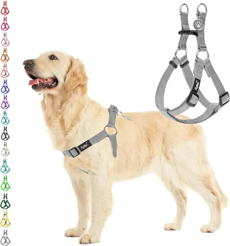Vista 66 de Pupteck - Arnés para perros sin jalar, suave, ajustable, de nailon, talla básica, chaleco para cachorro, para caminar al aire libre con etiqueta