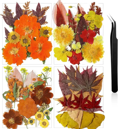 Vista 9 de Nuanchu Flores secas prensadas negras para manualidades, flores secas góticas, flores silvestres prensadas naturales a granel con pinzas para molde