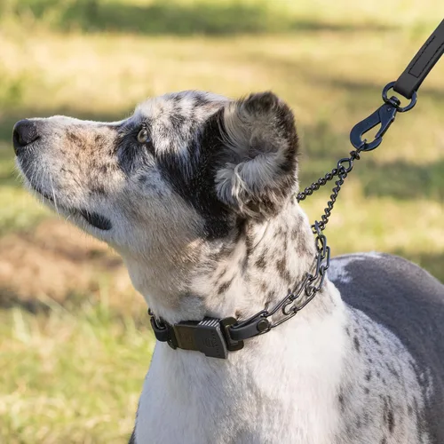 Vista 7 de Collar para Perro Herm Sprenger de Acero Inoxidable Negro con Hebilla de Liberación Rápida ClicLock y Inserción de Biothane Collar de Entrenamiento