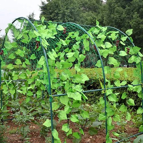 Vista 3 de Asdomo Red de enrejado para plantas de vid, red de soporte para plantas trepadoras, frutas, vid, verduras, flores y vegetales, red de jardín