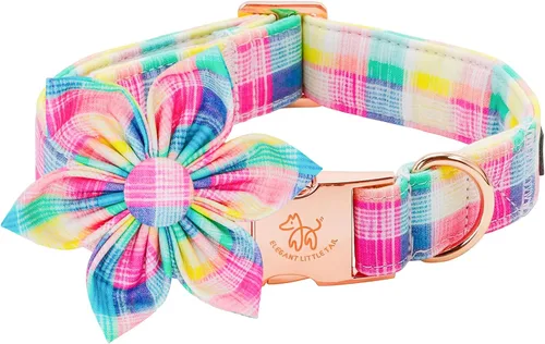 Vista 17 de Collar para perro Elegant little tail de otoño, collares para mascotas de Halloween con flor, lindo estampado de calabaza, collar para cachorro B