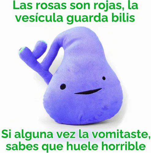 Vista 7 de Vesícula gigante de peluche – You've Got Gall – I Heart Guts